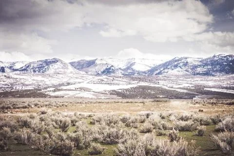 Desert mountain scene Foto stock