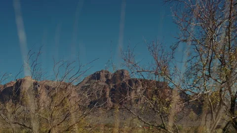 Desert mountain seen through bare branches Arizona Stock-Footage 347967620