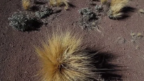 Desert mountains Stock Footage 77047073