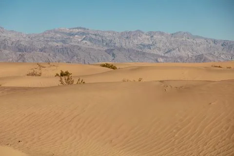 Desert With Mountains 库存照片