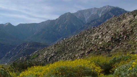 Desert Mountainscape Stock Footage 49549854