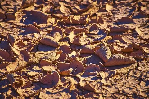Desert Mud Crack Close Up Texture in Nevada Drought Environment Stock Photos