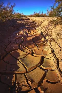 Desert Mud Crack Pattern in Dry Wash with Scrub and Bright Blue Sky Foto stock