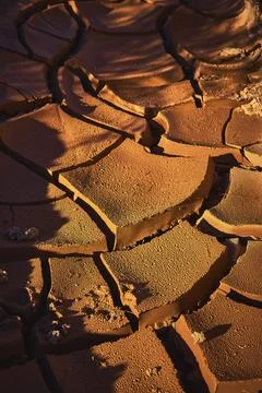 Desert Mud Crack Texture Close Up in Nevada Sunlight Stock Photos