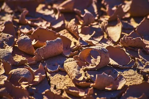 Desert Mud Crack Texture Close Up in St Thomas Ghost Town Nevada Stock Photos