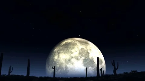 Desert night moon Stock Footage 71447792