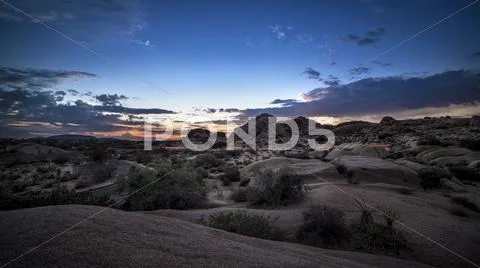 Desert at Night or Golden Hour Stock Photos
