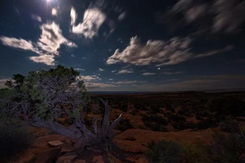 Desert Night Stock Photos
