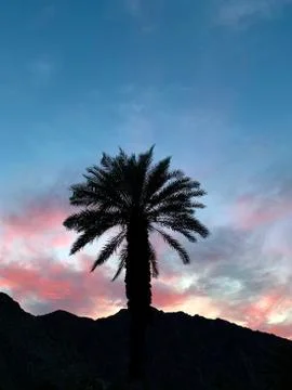 Desert Night Stock Photos
