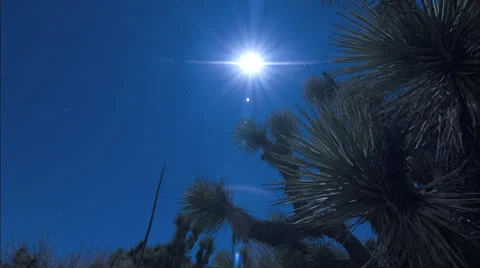 Desert night time Joshua Tree slow moon time lapse Stockbeeldmateriaal 23512330
