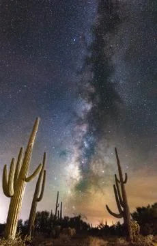 Desert Nights Stock Photos
