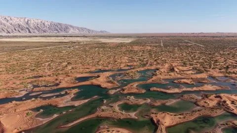 Desert Oasis Al Ain UAE Stock Footage 328263478