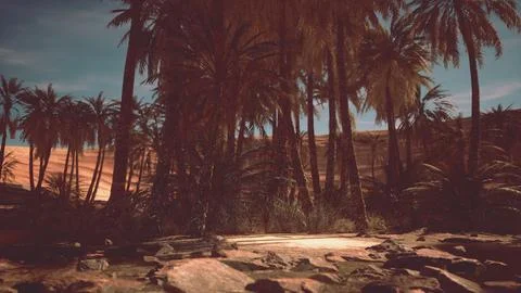 Desert oasis among the dunes Stock Illustration
