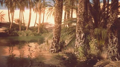 Desert oasis among the dunes Stock Illustration