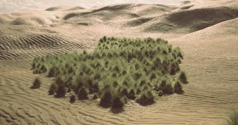 Desert oasis with dense greenery surrounded by arid landscape Stock Illustration
