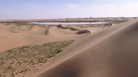Desert oasis Stock Footage