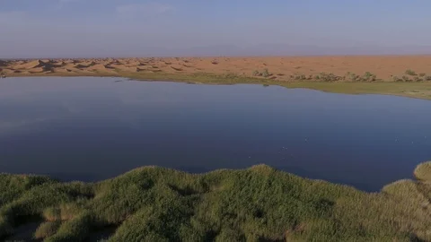 Desert oasis Stock Footage