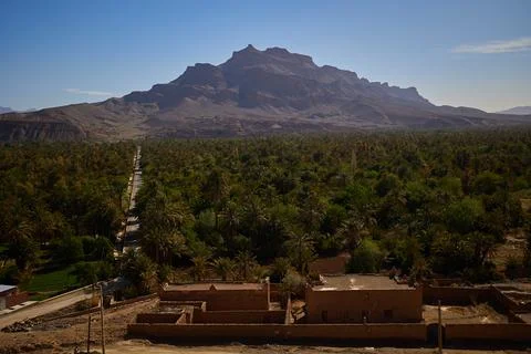Desert Oasis with Mountain Backdrop Stock Photos