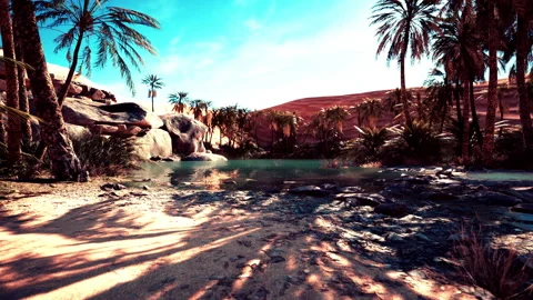 An desert oasis in the Oman Stock Footage 231813293