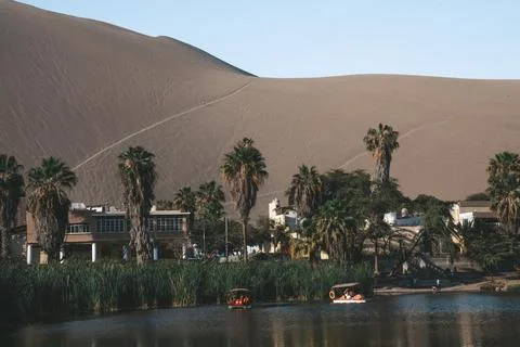 Desert, Oasis Stock Photos