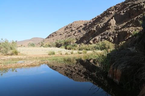 Desert Oasis Pool Water Reflection Rocky Mountain Palm Trees Morocco Stock Photos
