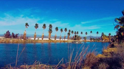 Desert oasis research cnt 6 Stock Footage 1007984