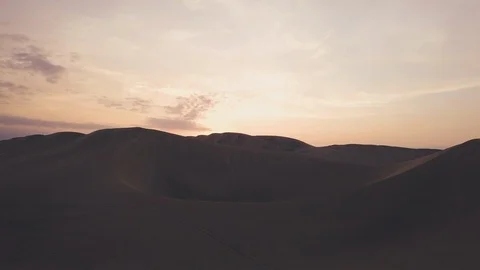 Desert Oasis at Sunrise Stock Footage 97101506