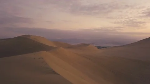 Desert Oasis at Sunrise Stock Footage 97103114