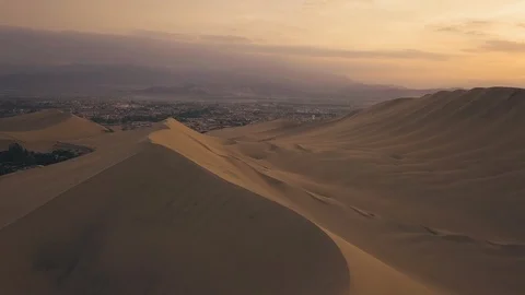 Desert Oasis at Sunrise Stock Footage 97105889