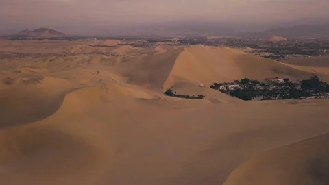 Desert Oasis at Sunrise Stock Footage 97107769