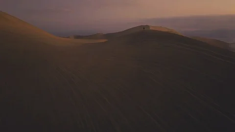 Desert Oasis at Sunrise Stock Footage 97110694