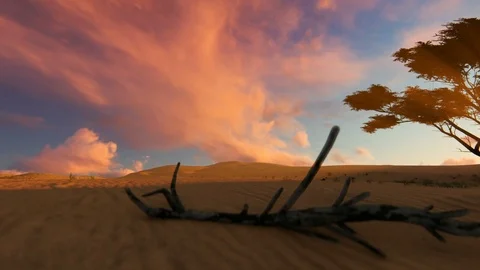 Desert oasis at sunset camera fly Stock Footage 108901111