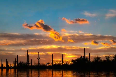 Desert Oasis at Sunset with clouds and orange colored sky Stock Photos