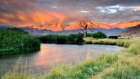 Desert Oasis Sunset Stock Photos
