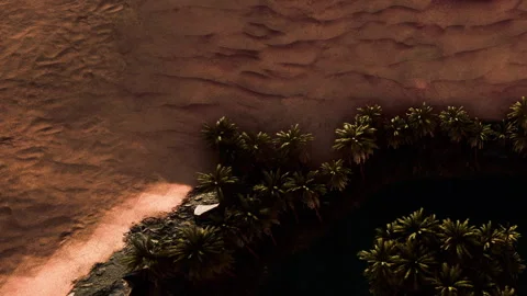 Desert oasis surrounded by palm trees and sand during golden hour 스톡 동영상 345014235