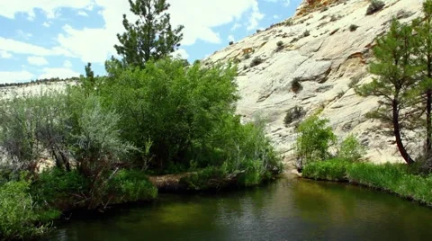 Desert OasisPool Stock Footage 5875473