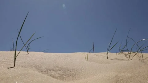 Desert Oleshki Sands Stock Footage 236579892