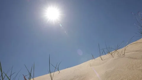 Desert Oleshki Sands Stock Footage 236579902