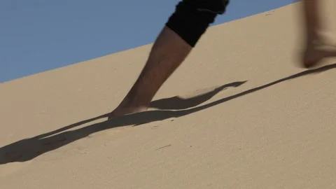 Desert Oleshki Sands Stock Footage 236579908
