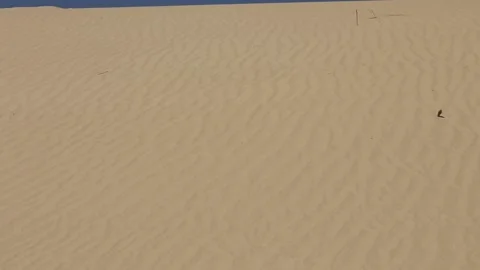 Desert Oleshki Sands Stock Footage 236579923