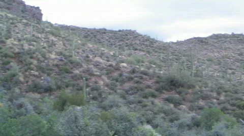 Desert Overview Video stock 779161