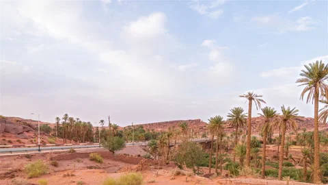 Desert Palm Trees Freeway Timelapse Stock-Footage 218570075