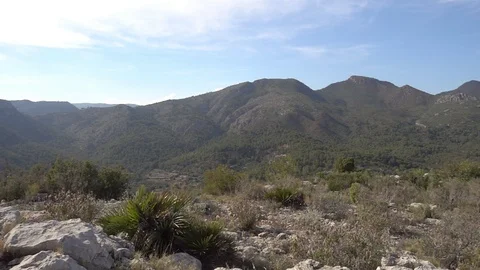 The desert of the palms under the blue sky Video stock 91838525