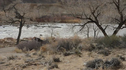 DESERT PAN OF A RIVER Stock Footage 35731608