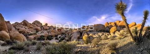 Desert Panorama Stock Photos