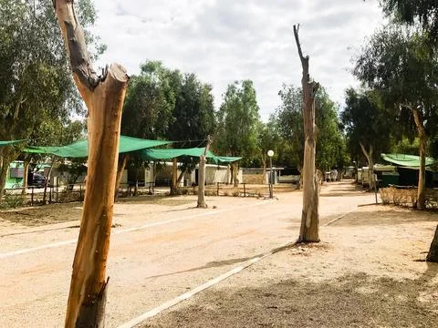 Desert park with green shade structures Stock Photos