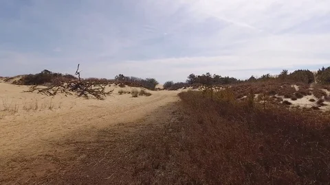 Desert Pathway Stock Footage 77550846