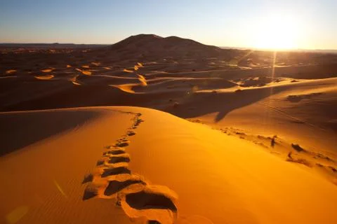 Desert Stock Photos