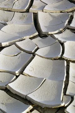 In the desert Stock Photos