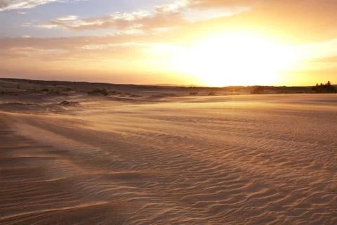Desert Stock Photos